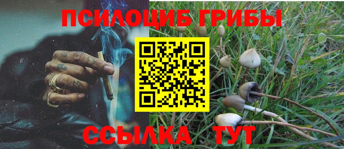 Псилоцибиновые грибы Psilocybe  Галлюциногенные грибы GOLDEN TEACHER  Вход с VPN  Ялта 