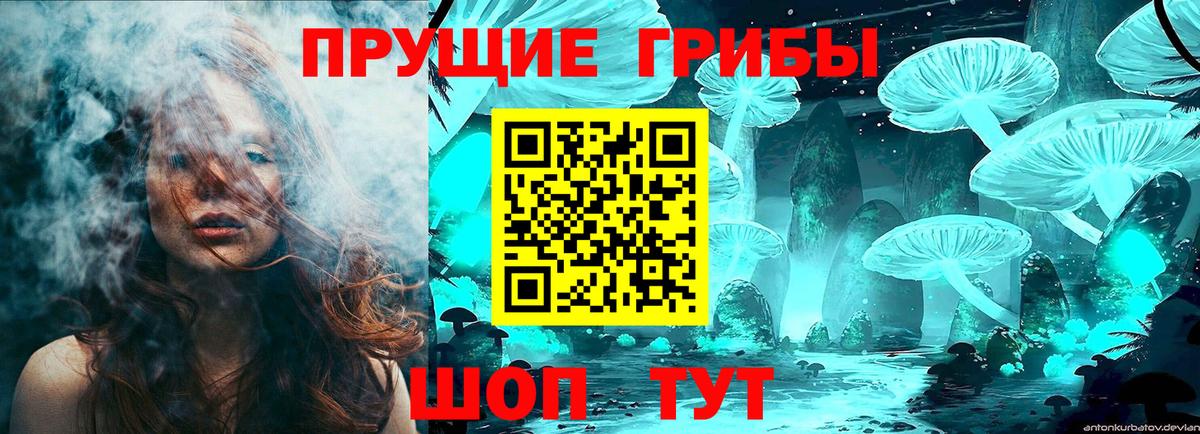 Псилоцибиновые грибы GOLDEN TEACHER Ялта